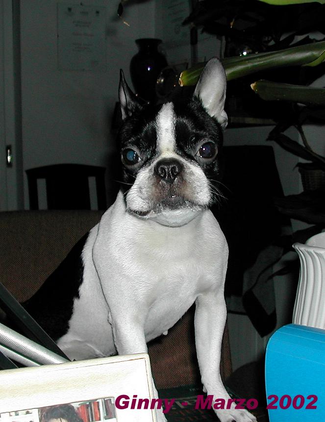 Ginny