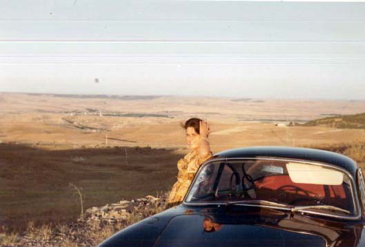 meseta