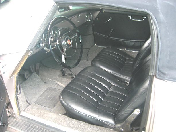 356Acabrio2