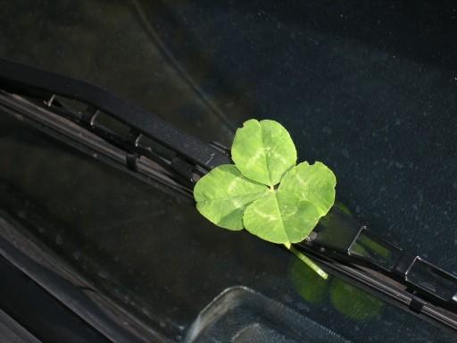 .....quadrifoglio..........