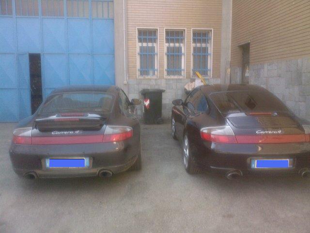 le belve