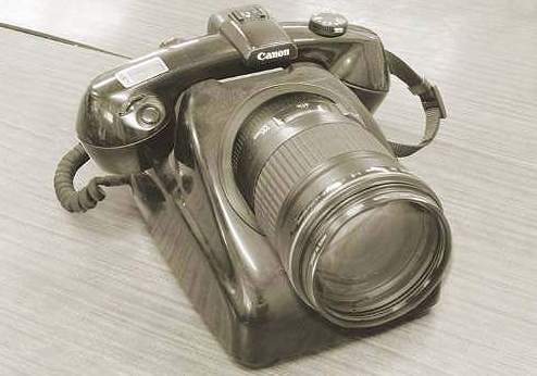 imm1