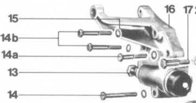 Tendicinghia distribuzione