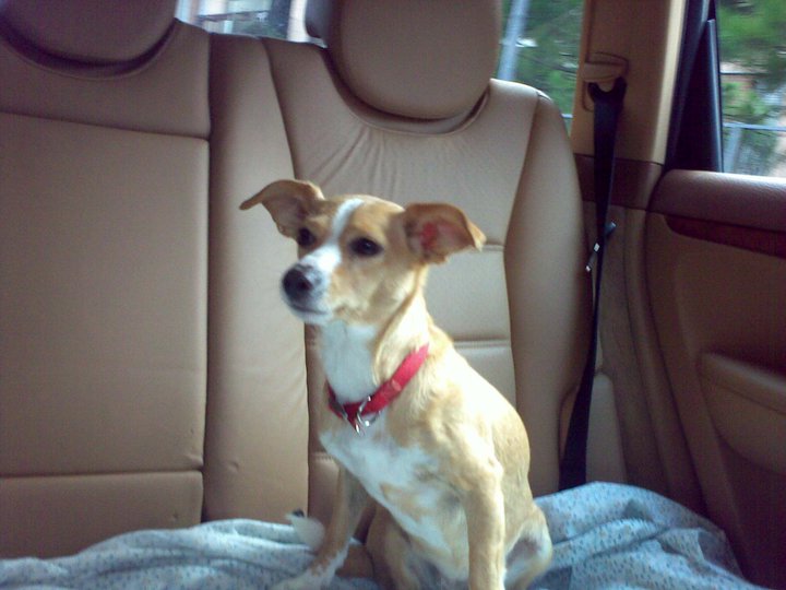 milly cayenne