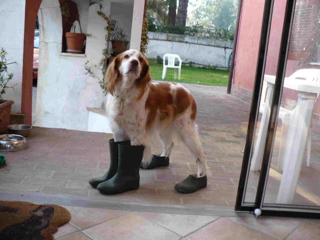 otto quando piove