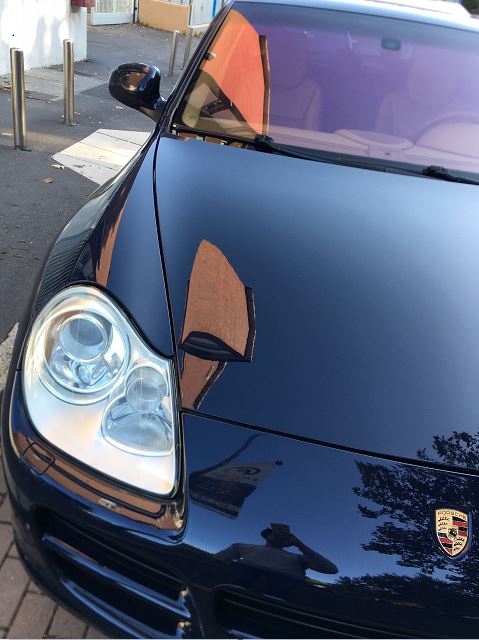Cayenne Stefano [1]