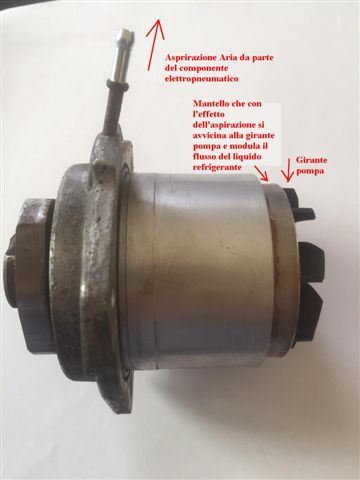 Pompa