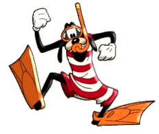 Pippo holiday