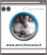 Cayenne.... vi ribalter la vita.....