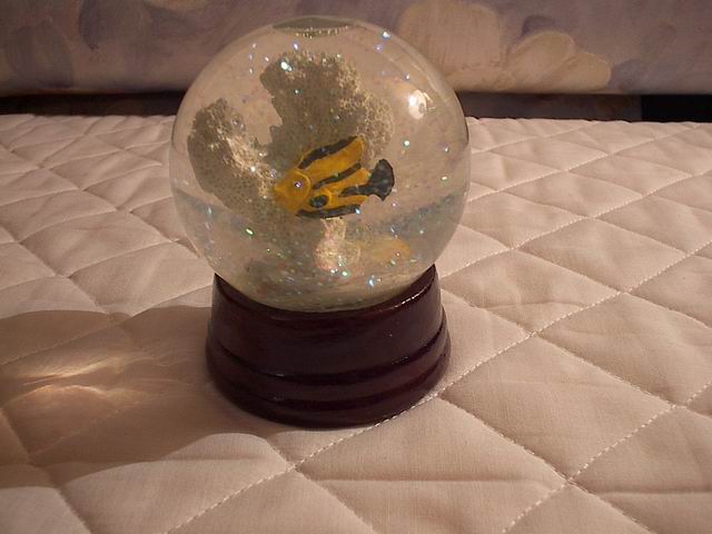 Sfera trasparente con neve