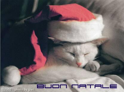 AUGURI A TUTTA PORSCHEMANIA