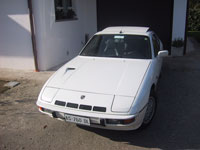 ramarro