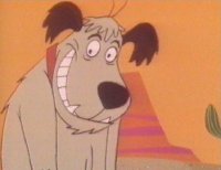 45