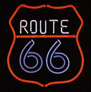 er66