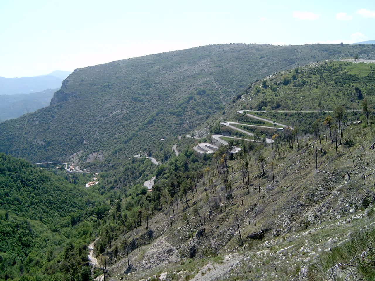 foto2