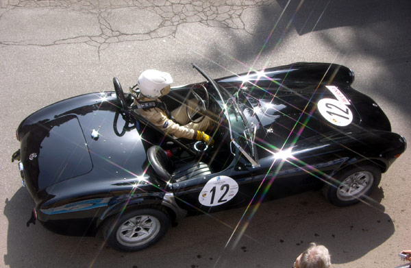 Cobra