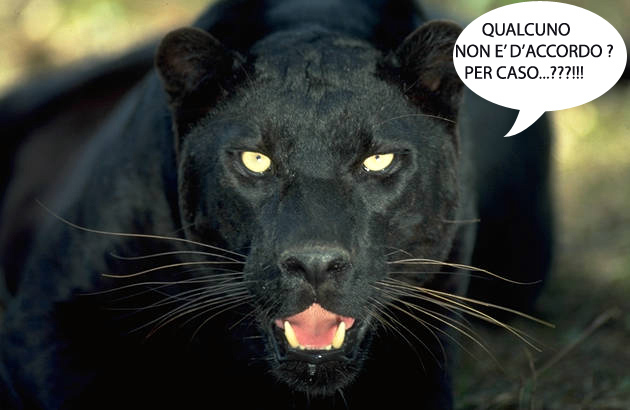 Pantera