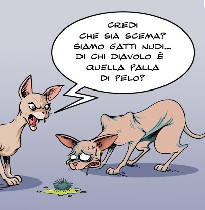 gatti