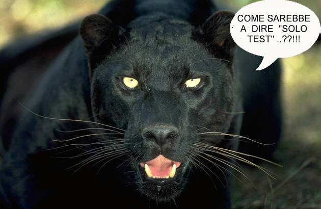 Pantera....