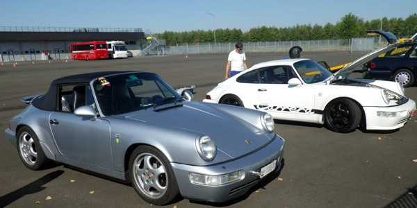 993  Greyfox