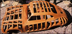 356 scheletro
