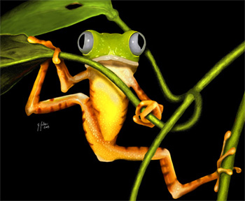 er