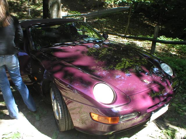 968 front view