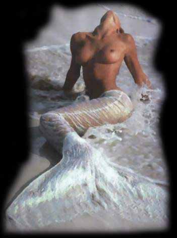 siren