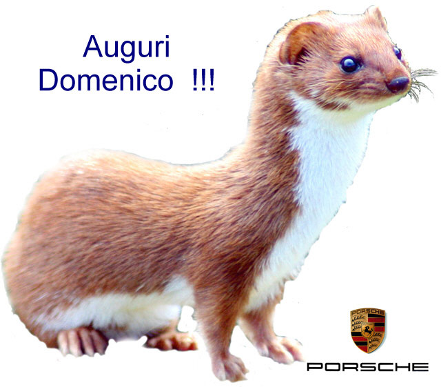 Auguri !