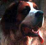 poldo