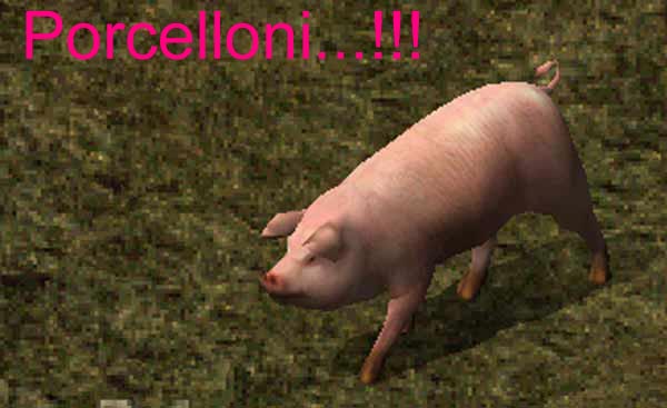 Porcelloni...!!!