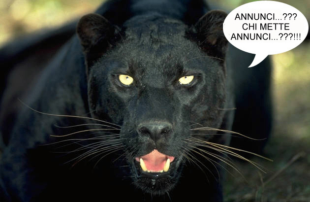 Pantera...inc...ssima !!!