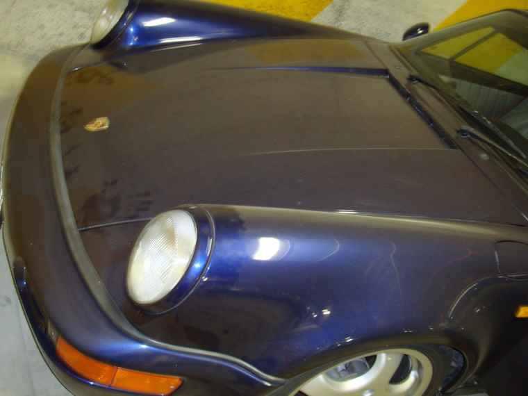 porsche ant