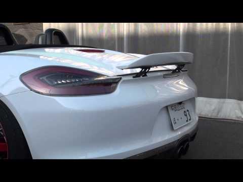 981 con spoiler della Spyder