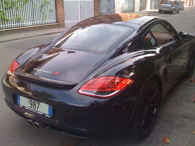 back