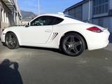 profilo cayman