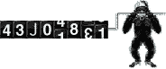 nn
