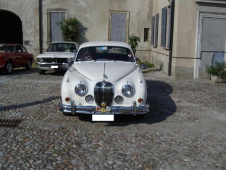 elegantissima Jaguar