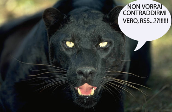 Pantera