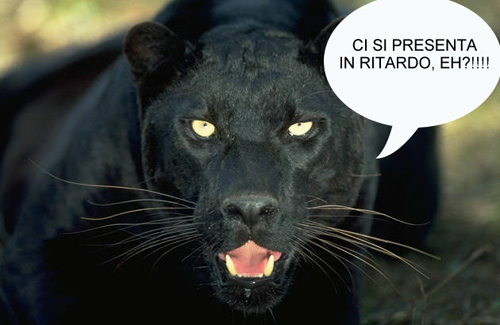 Pantera