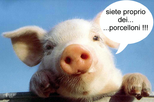 ...porcelloni...!!!!