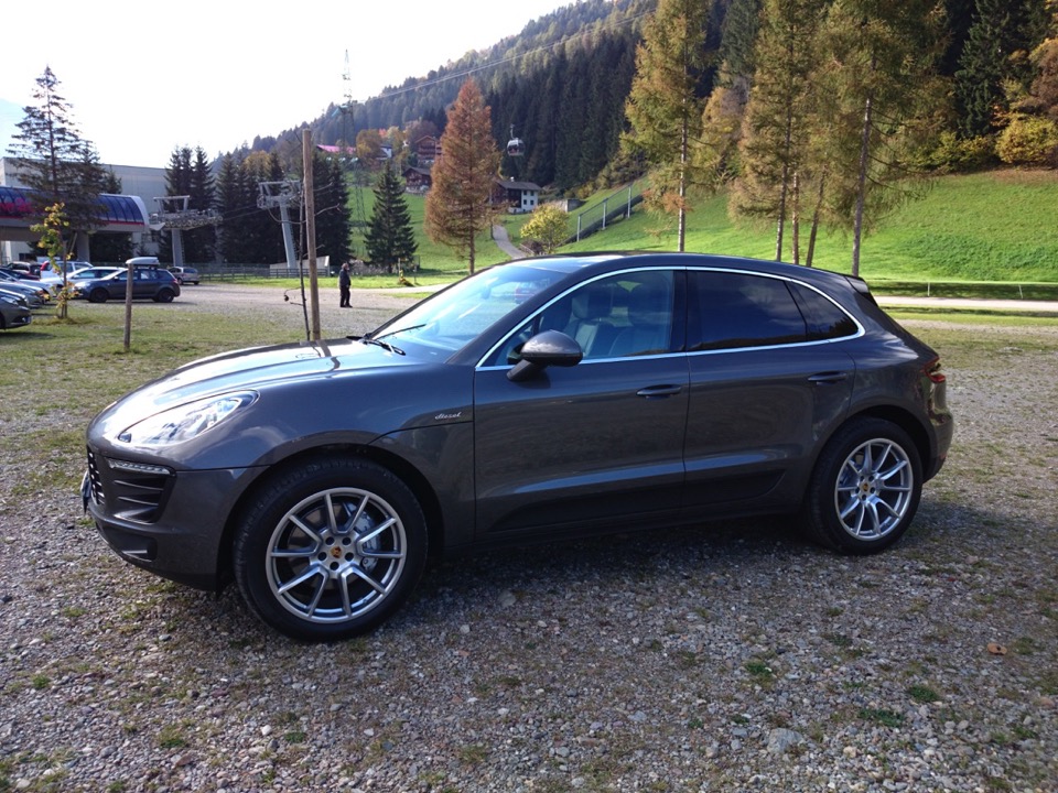 Macan 1