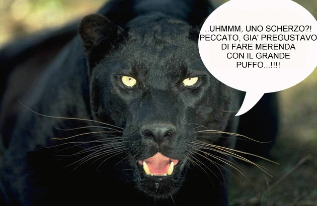 Pantera....