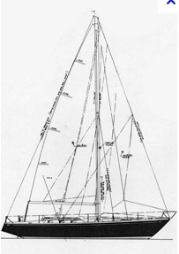 Alpa2