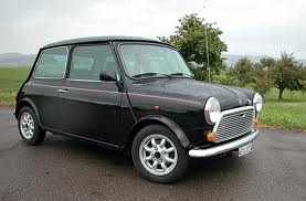Mini 30