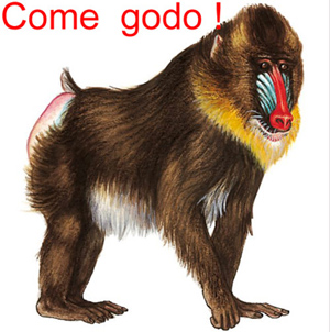 Mandrillo