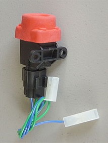 Interruttore