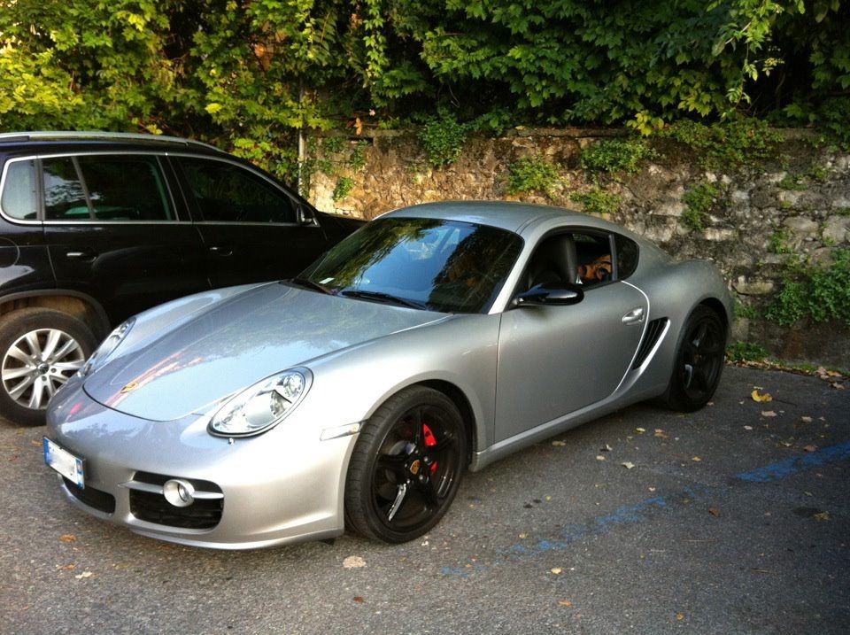 cayman s