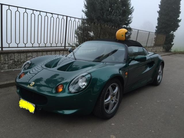 lotus ant