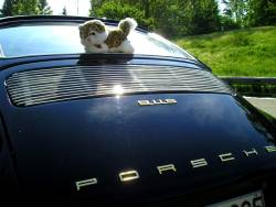 911 2.2 S 